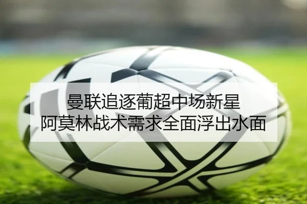 曼联追逐葡超中场新星 阿莫林战术需求全面浮出水面